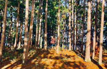 Peaceful Lake Front A-Frame in Ely - Foto 39