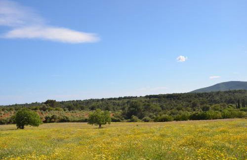 Finca Son Blat - Photo 23