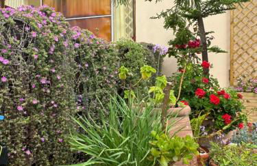 Villa Dei Fiori - casa vacanza - Foto 38