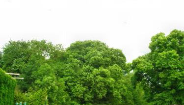 Haus Swantje - Foto 3