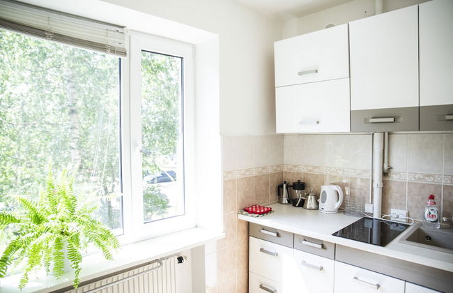 Aura City Center Tartu Holidays - Foto 24