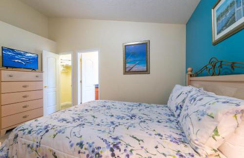 519OBC-Sunshine Daydream (B) - Foto 20