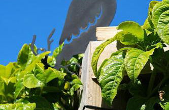 RiaEncontros- Villa T4 junto Ria e Pinhal - Foto 34