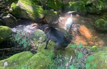 Posada El Pareón - Photo 18