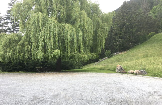 Jagdhaus Biedenegg - Foto 26