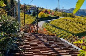 Ca ed Giuanoto - Photo 15