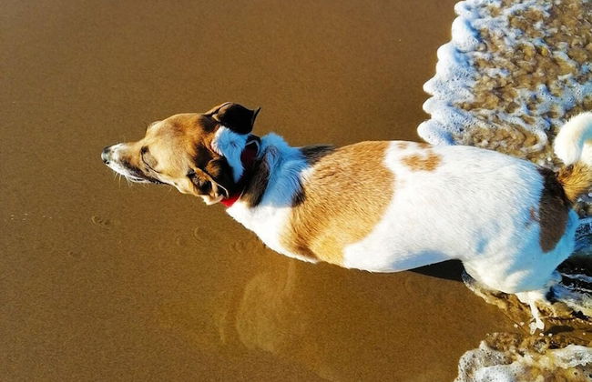 All the Tides - Rip Tide - Photo 8