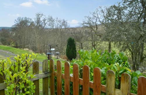 The Waiting Room - Foto 15