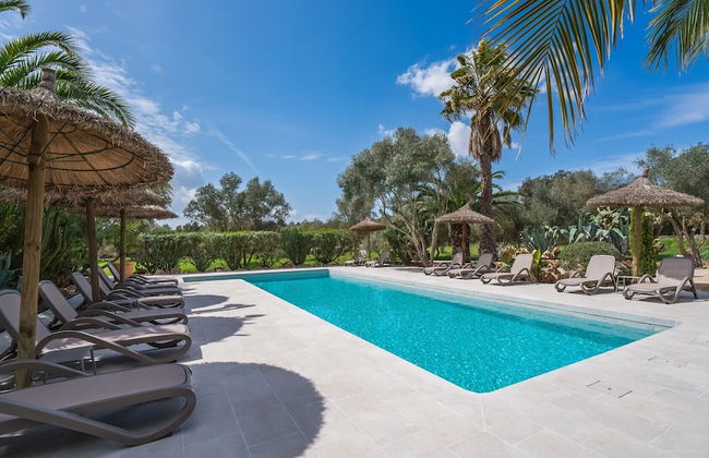 Can Pina - Eco Redonda 1 - - Photo 18