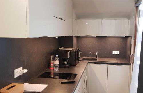 STUDIO 28 m2 TOUT CONFORT NEUF LABEL 3 ETOILES 4 PERSONNES CYBELE - Foto 3