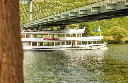 NEU!!! Moselbleibe Uferallee - Foto 16