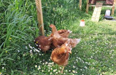 Dory's apartment - Foto 31