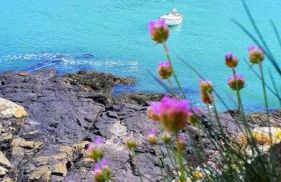 Charming coastal cottage - pet friendly! - Photo 39