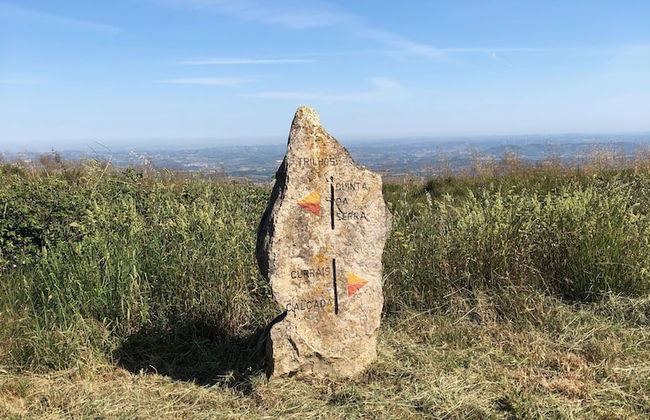 Terra Luso - Foto 32