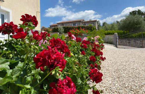 Apartman Luna - Foto 7