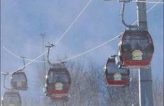 Die Waldstube - Foto 30