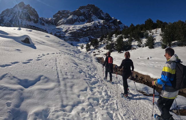 Snowshoeing in Valle de Tena - Photo 6