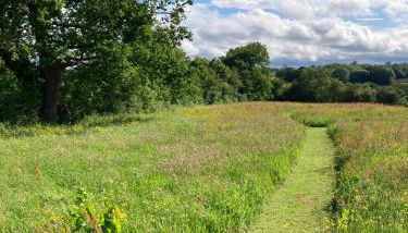 Little Pentre Barn with cozy logburner - Foto 4