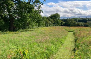 Little Pentre Barn with cozy logburner - Foto 4