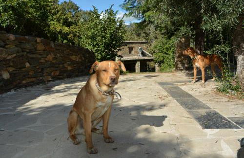 Cortijos Rey Fini - Foto 11