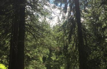 Un nido in centro - Foto 22