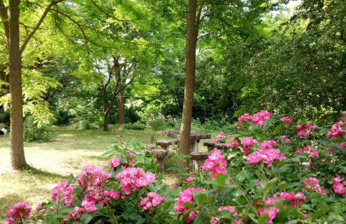 Agriturismo del Frontino - Ca' Benvenuto - Foto 32