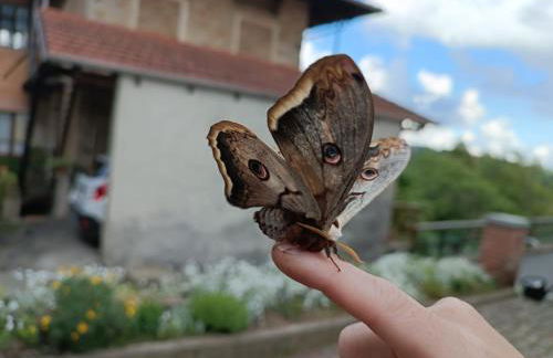 Le Zie Valdilana - Foto 25