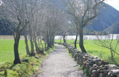 Cal Remolins - Photo 18