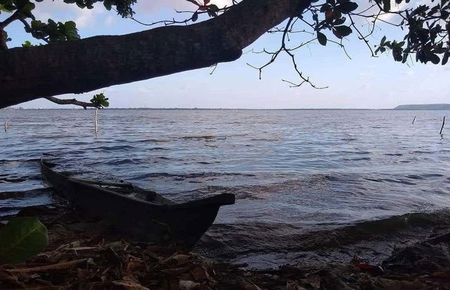 Tour por Pontal da Barra + Lagos Mundaú y Manguaba - Foto 5