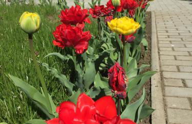 Oppiner Straße 14 Trotha - Foto 56