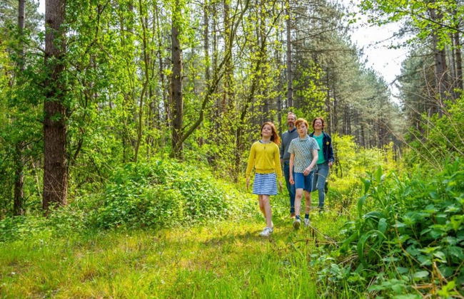 Vlaanderen Cozy Cottage - Foto 37