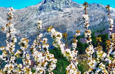 ALBAREÍLLA by #cherrygredos - Photo 17