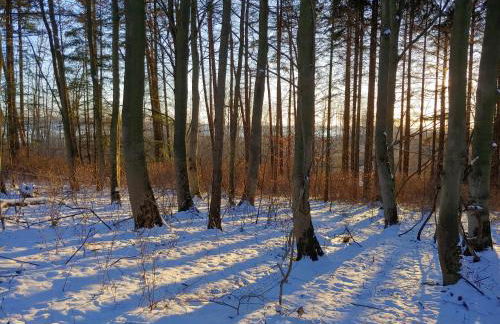 Gut Hohenstein - Platanenappartment - Foto 13