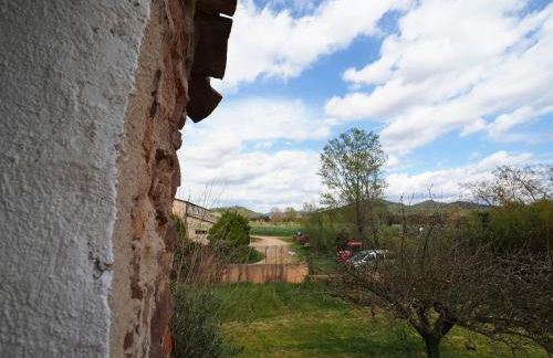 Domaine de La Mayonnette - Foto 27