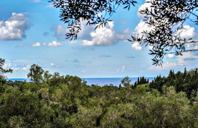 Dimitris Cottage in Apergatika - Foto 67