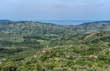 Mary's House - Photo 55