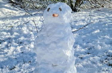 Pilgrims "Rosalie" große Fewo mit 3 Schlafzimmern, 1Bad, 2 WC, Balkon, fast Internet - Foto 6