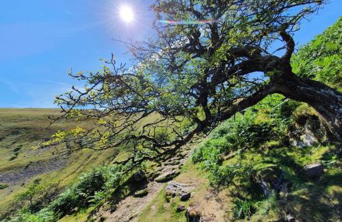 Happy Horse Cottages - Foto 56