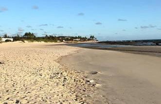Caju Verde - Barra do Cunhau - Photo 20