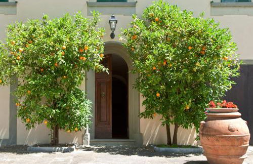 Villa Da Vinci - Foto 19