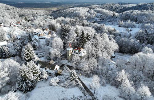 Zamek Przesieka - Foto 33