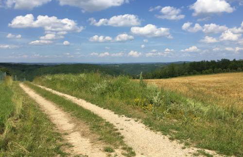 Gîtes Oasis du Lot - Foto 16