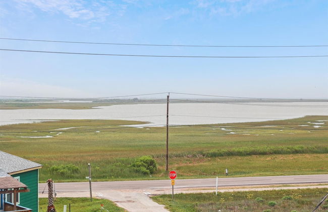 Birds of Paradise - Foto 20