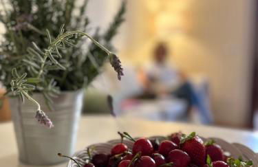 Agave Marina - Foto 50