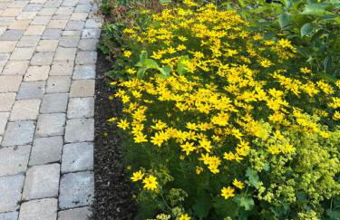 Gästezimmer Am Haarhaus - Foto 7