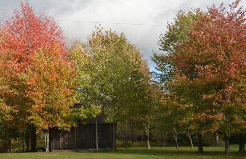 CHASIN' MEMORIES - Foto 47