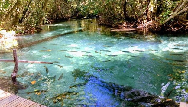 Aquário Encantado in Nobres Day Trip - Foto 2