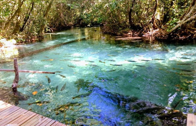 Excursión al Aquário Encantado de Nobres - Foto 6