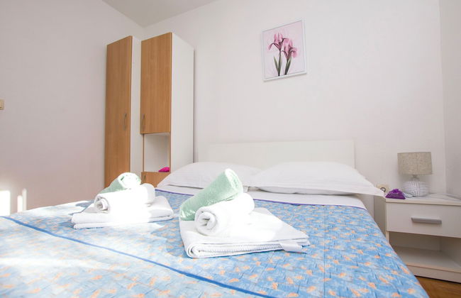 House Pansy - Foto 2