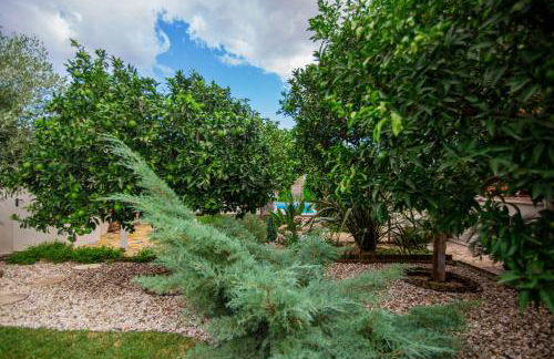 Villa Komfort - Foto 36